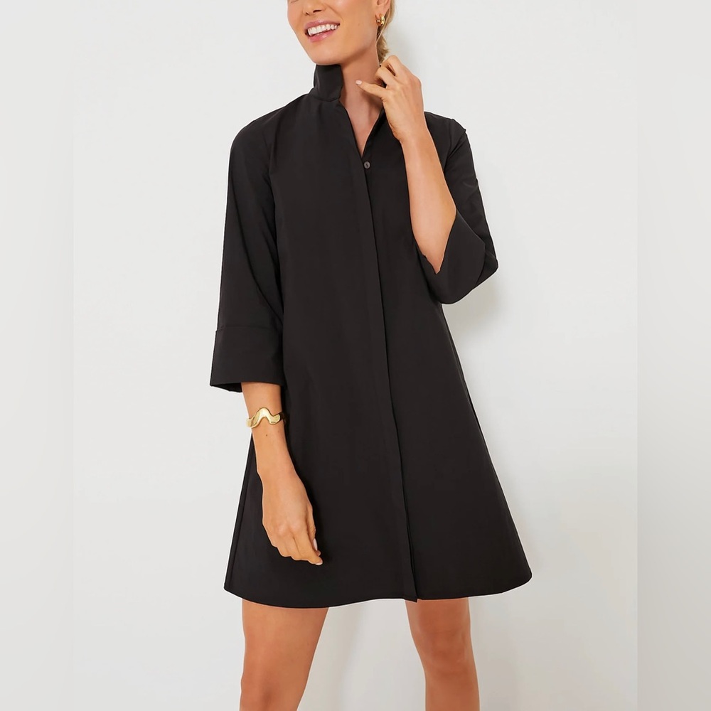 Tuckernuck Black Mini Shirt Dress